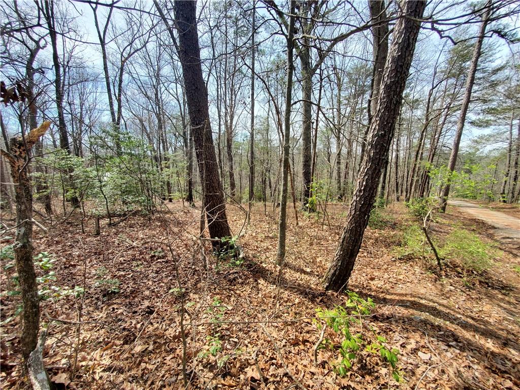 392 Beaver Ridge Road Jasper, GA 30143 - Photo 52 of 55 a view of a backyard