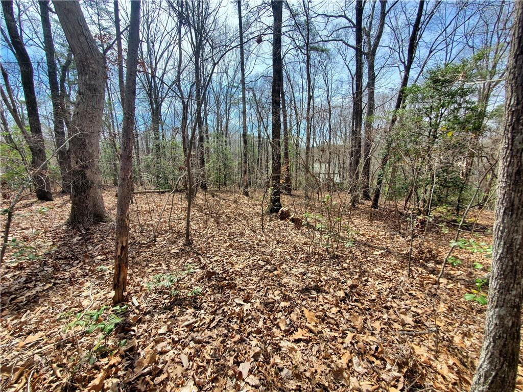 392 Beaver Ridge Road Jasper, GA 30143 - Photo 54 of 55 a view of outdoor space with lots of trees