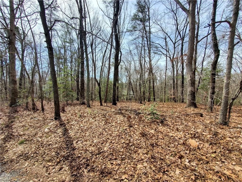392 Beaver Ridge Road Jasper, GA 30143 - Photo 55 of 55 a view of outdoor space with trees