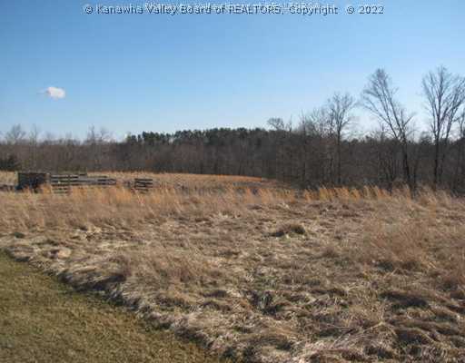 290 Matthews Road Red House, WV 25168 - Photo 12 of 13 Yard/Garden.