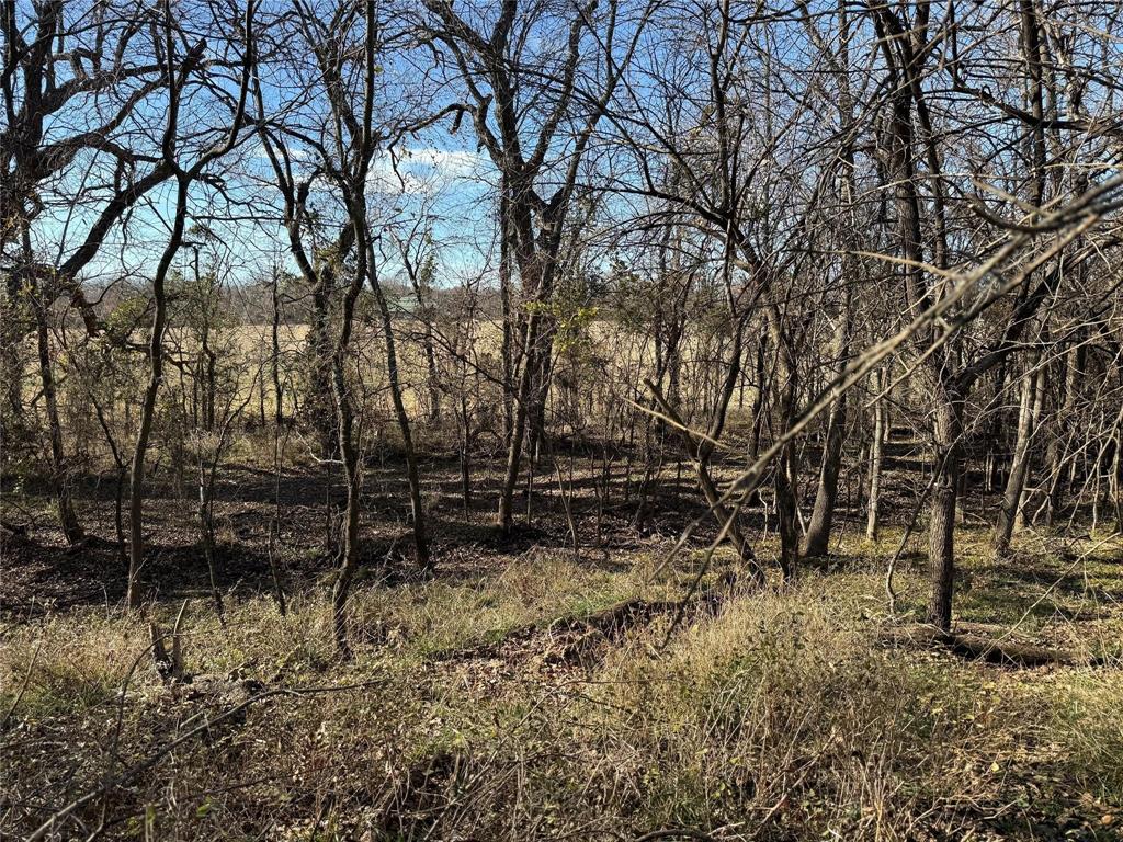 Lot 5-tbd Lot 5-tbd Hidden Valley Rd Valley View Valley View, TX 76272 - Photo 2 of 25 a view of backyard with green space
