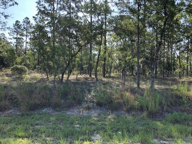 O-sw Southwest Wood Road Dunnellon, FL 34431 - Photo 1 of 1