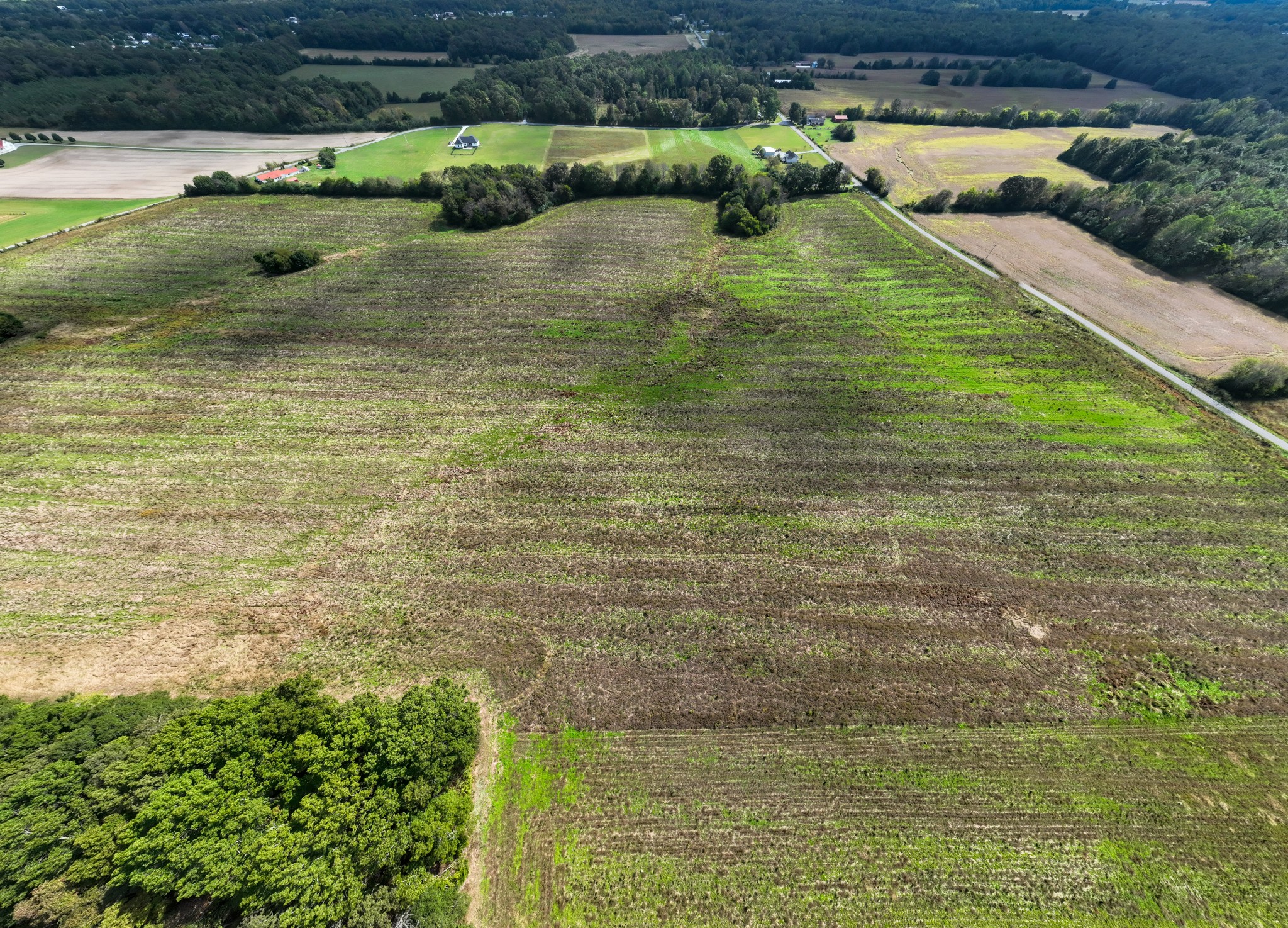 1 Clarence Finney Road Hillsboro, TN 37342 - Photo 6 of 24