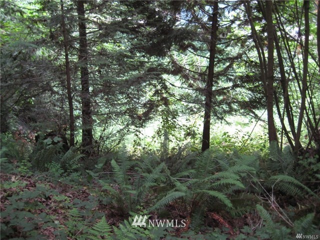 0 East Spring Lake Drive Southeast, Unit 182XX Renton, WA 98058 - Photo 13 of 18 Gallery Image 13