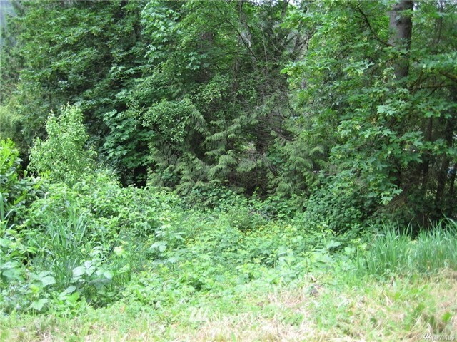0 East Spring Lake Drive Southeast, Unit 182XX Renton, WA 98058 - Photo 5 of 18 Gallery Image 5