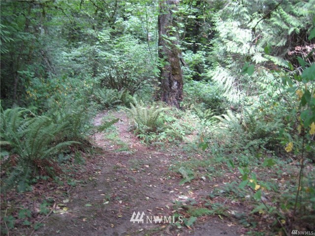 0 East Spring Lake Drive Southeast, Unit 182XX Renton, WA 98058 - Photo 7 of 18 Gallery Image 7