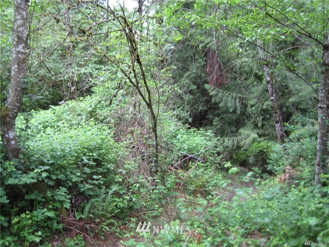 0 East Spring Lake Drive Southeast, Unit 182XX Renton, WA 98058 - Photo 9 of 18 Gallery Image 9