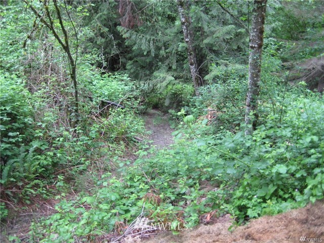 0 East Spring Lake Drive Southeast, Unit 182XX Renton, WA 98058 - Photo 10 of 18 Gallery Image 10