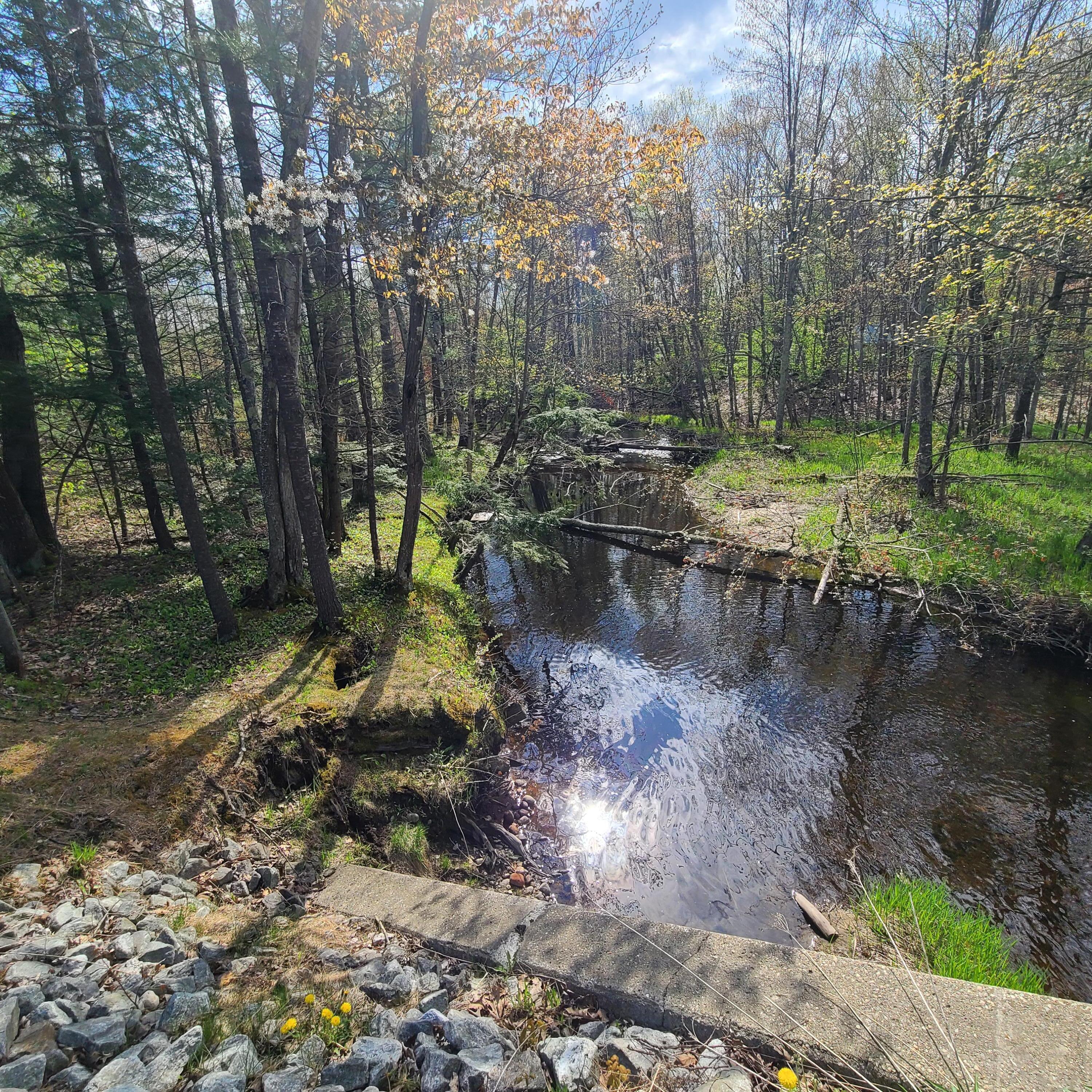 1729 Federal Road Livermore, ME 04253 - Photo 3 of 29