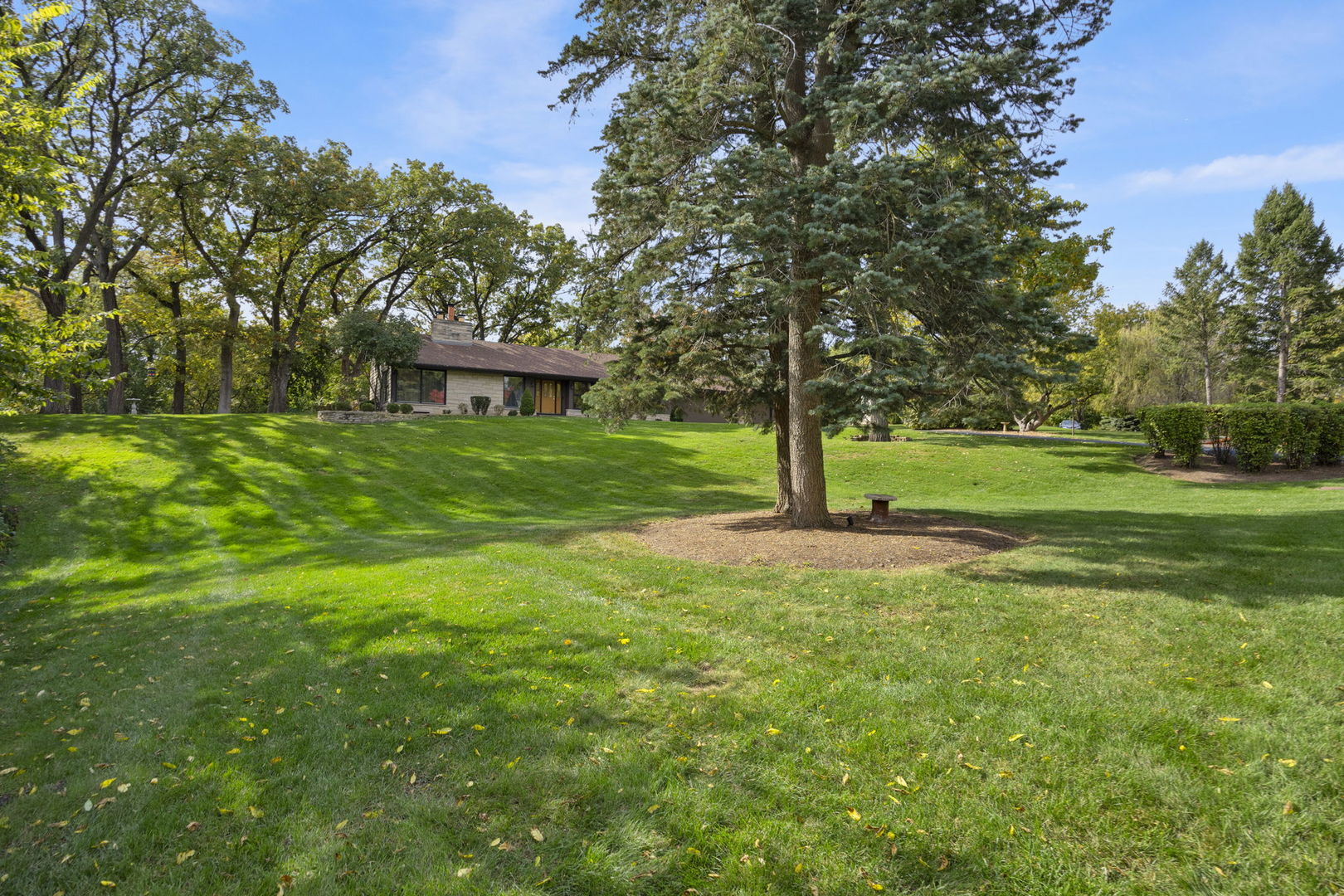 1007 Beau Brummel Drive Sleepy Hollow, IL 60118 - Photo 30 of 35 a view of a house with a yard