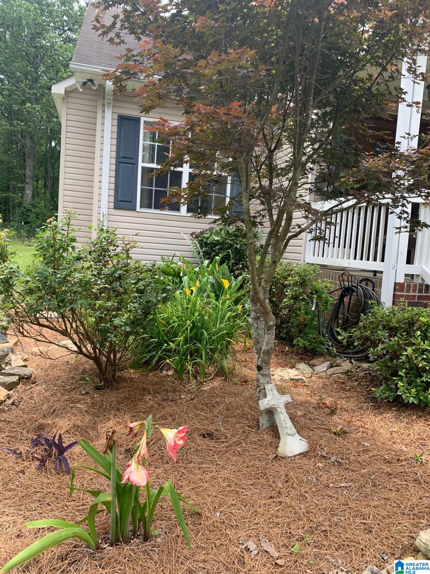 4348 Red Valley Road Remlap, AL 35133 - Photo 3 of 69
