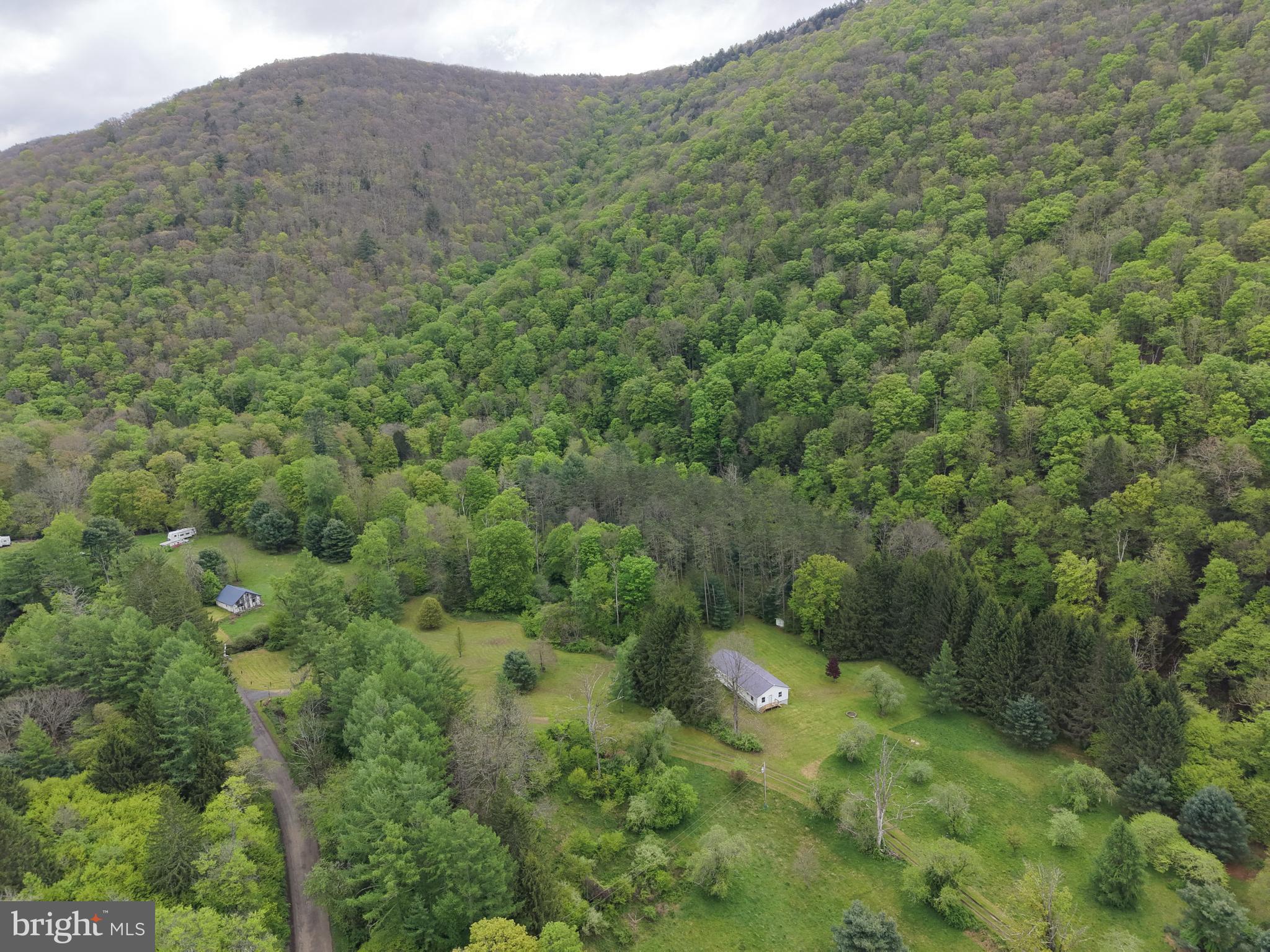 1227 Cross Fork Creek Road Cross Fork, PA 17729 - Photo 12 of 139