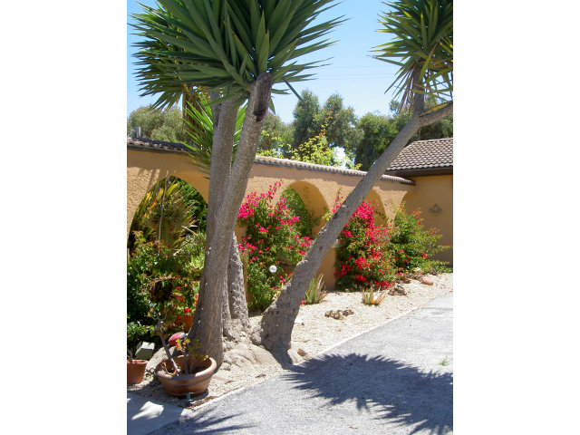 480 Ricardo Drive Aromas, CA 95004 - Photo 14 of 25 Gallery Image 14
