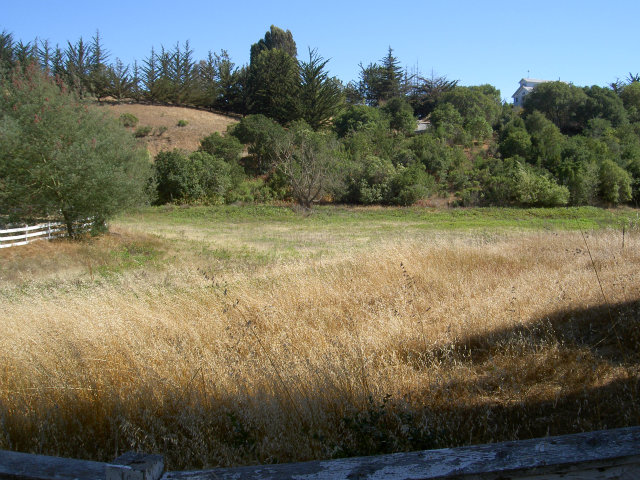 480 Ricardo Drive Aromas, CA 95004 - Photo 19 of 25 Gallery Image 19