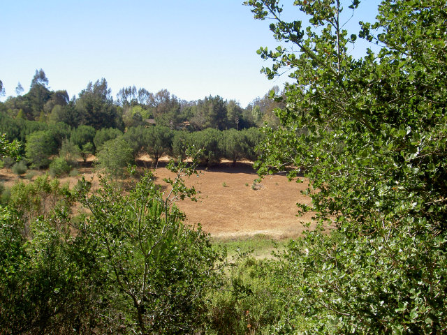 480 Ricardo Drive Aromas, CA 95004 - Photo 20 of 25 Gallery Image 20