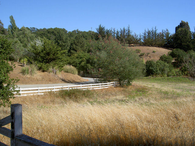 480 Ricardo Drive Aromas, CA 95004 - Photo 22 of 25 Gallery Image 22