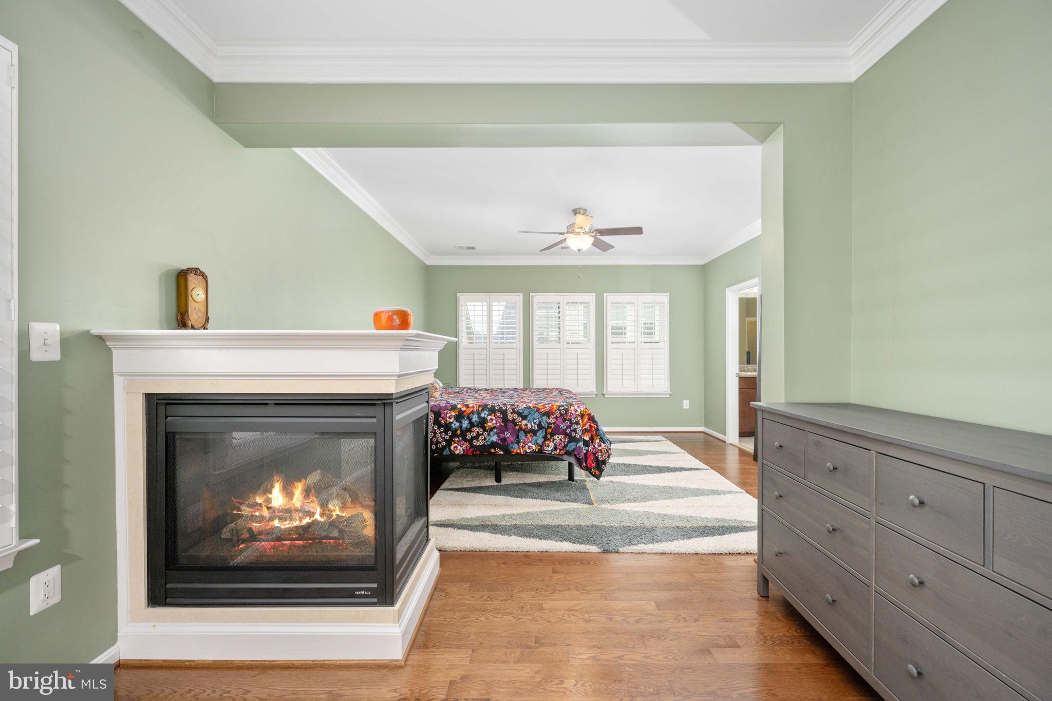 6044 Masondale Road Alexandria, VA 22315 - Photo 38 of 64 a living room with furniture and a fireplace