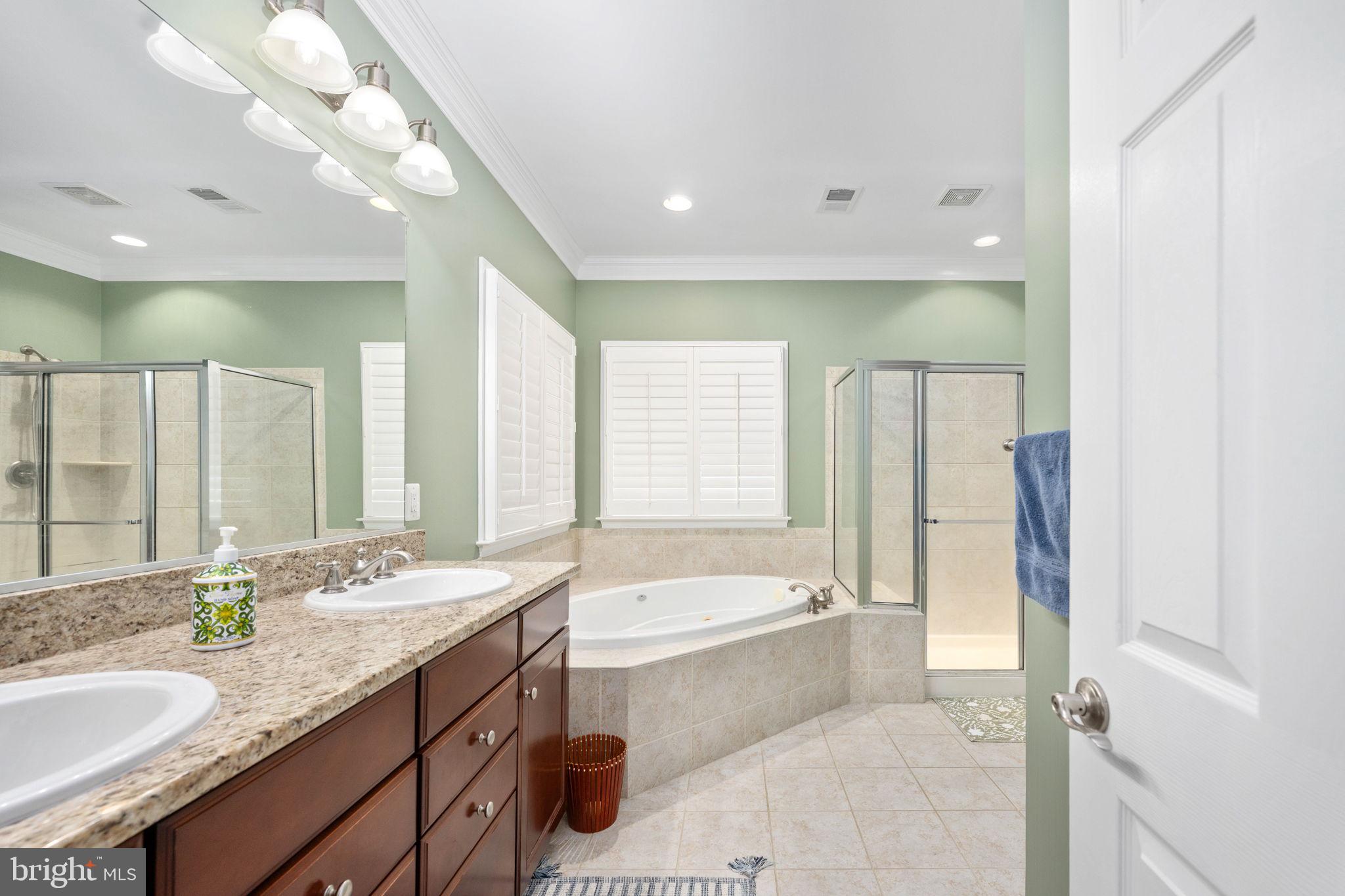 6044 Masondale Road Alexandria, VA 22315 - Photo 41 of 64 a bathroom with a granite countertop sink mirror and a bathtub