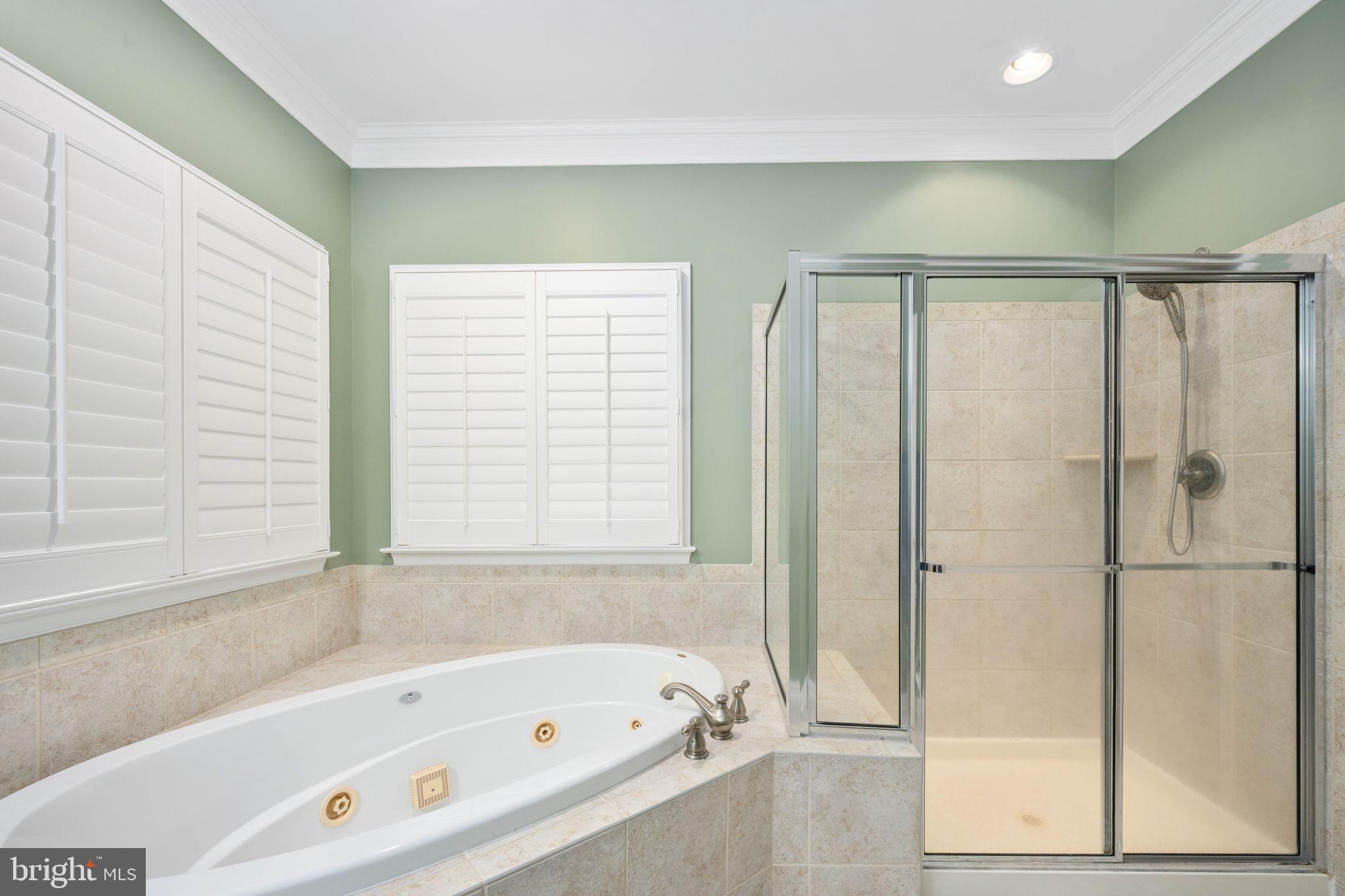 6044 Masondale Road Alexandria, VA 22315 - Photo 42 of 64 Primary Bathroom