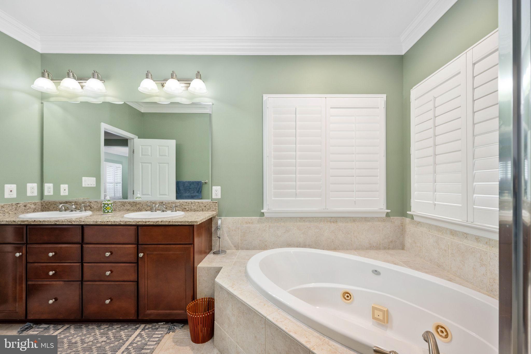 6044 Masondale Road Alexandria, VA 22315 - Photo 43 of 64 a bathroom with a tub a double vanity sink and a large mirror