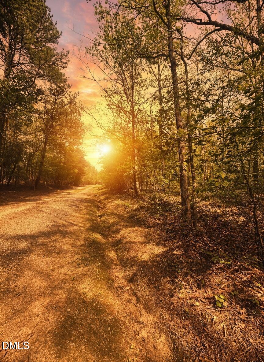 5096 Forest Srv Road Oxford, NC 27565 - Photo 3 of 7 Sunset View of Road
