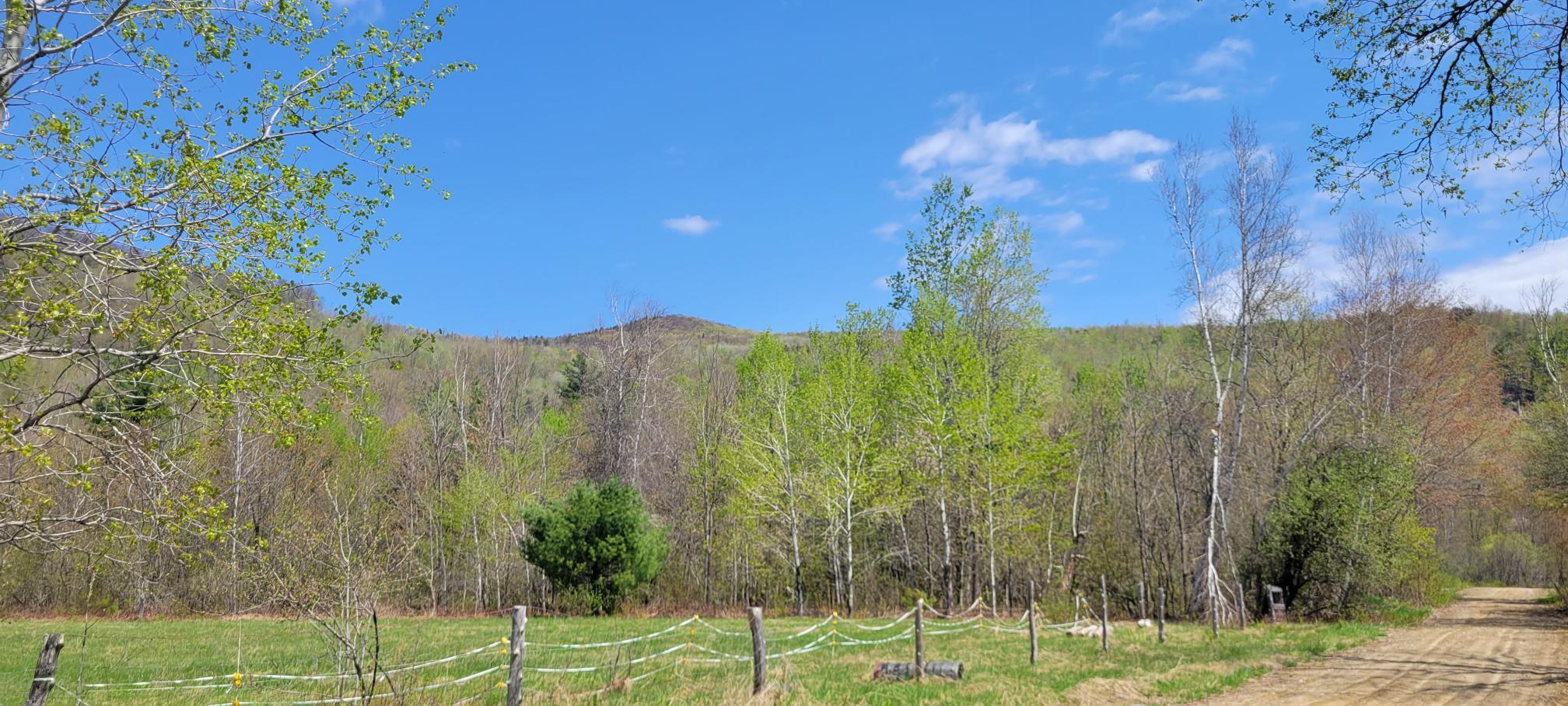 Lot 11 Swift River Road Byron, ME 04275 - Photo 70 of 72 View from Route 17
