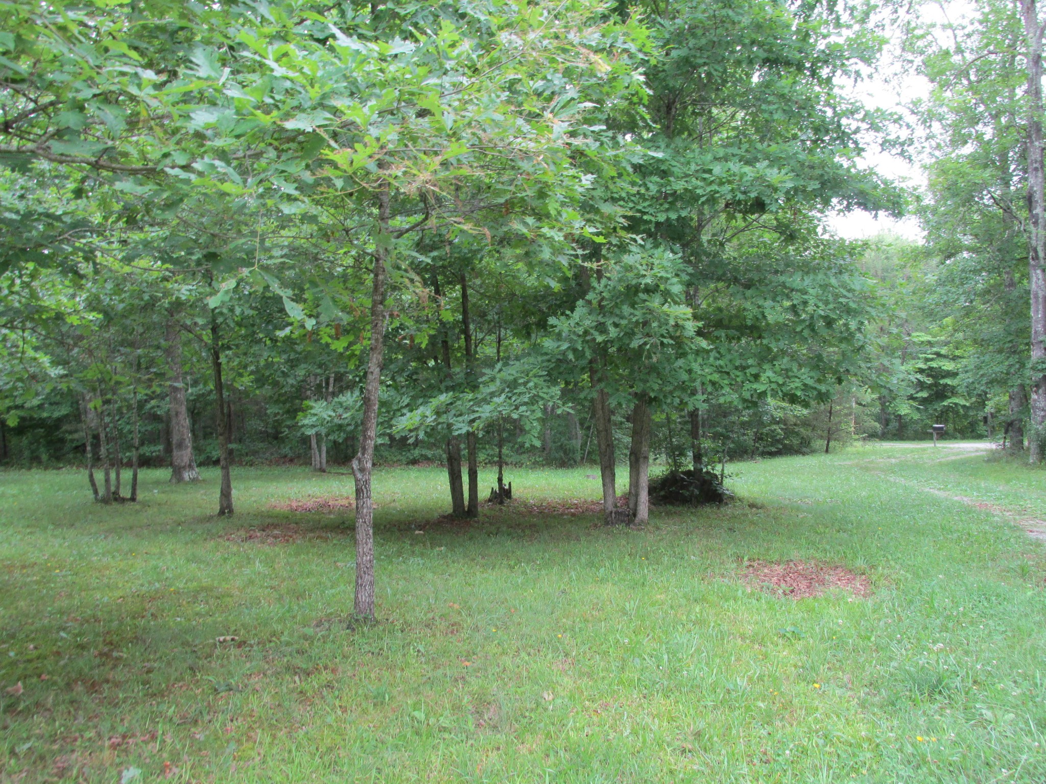 243 Rankin Road Deer Lodge, TN 37726 - Photo 9 of 39 Gallery Image 9