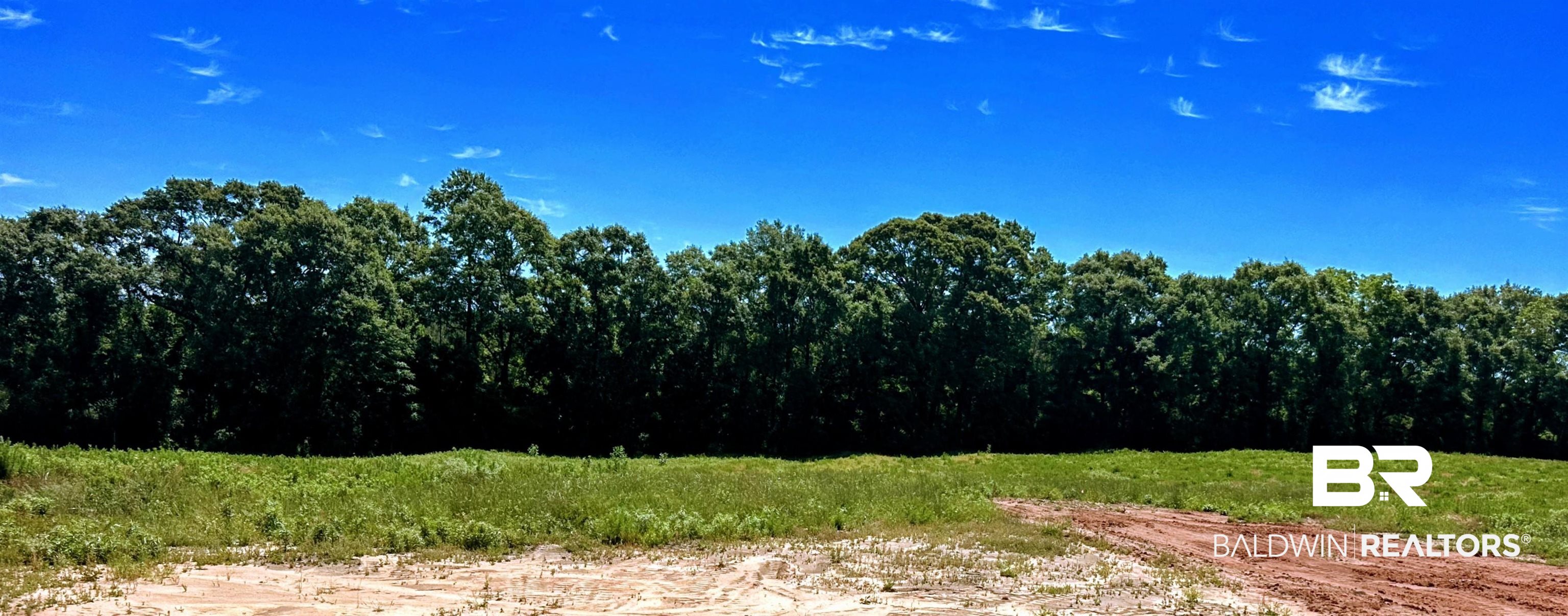 0 T Bridge Road Red Level, AL 36474 - Photo 22 of 26