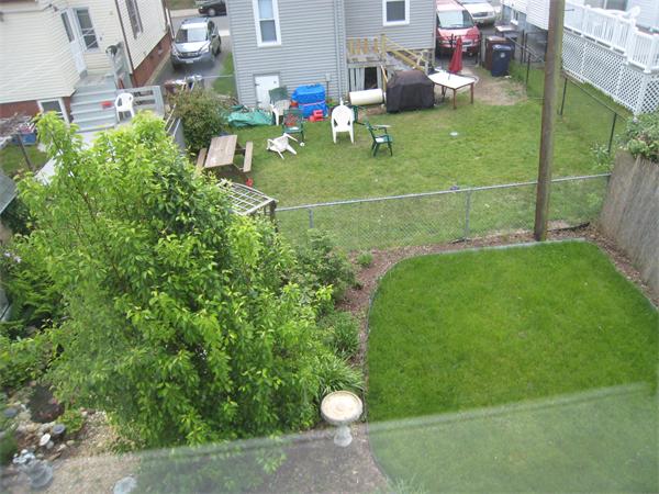 74 Madison Avenue Everett, MA 02149 - Photo 26 of 28 a view of outdoor space and yard