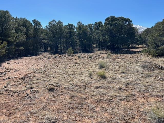 3 B Majors Ranch Road Walsenburg, CO 81089 - Photo 33 of 54