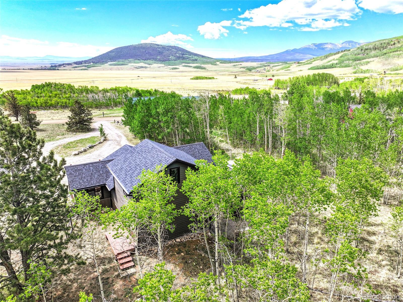 1424 Sheep Ridge Road Fairplay, CO 80440 - Photo 3 of 47