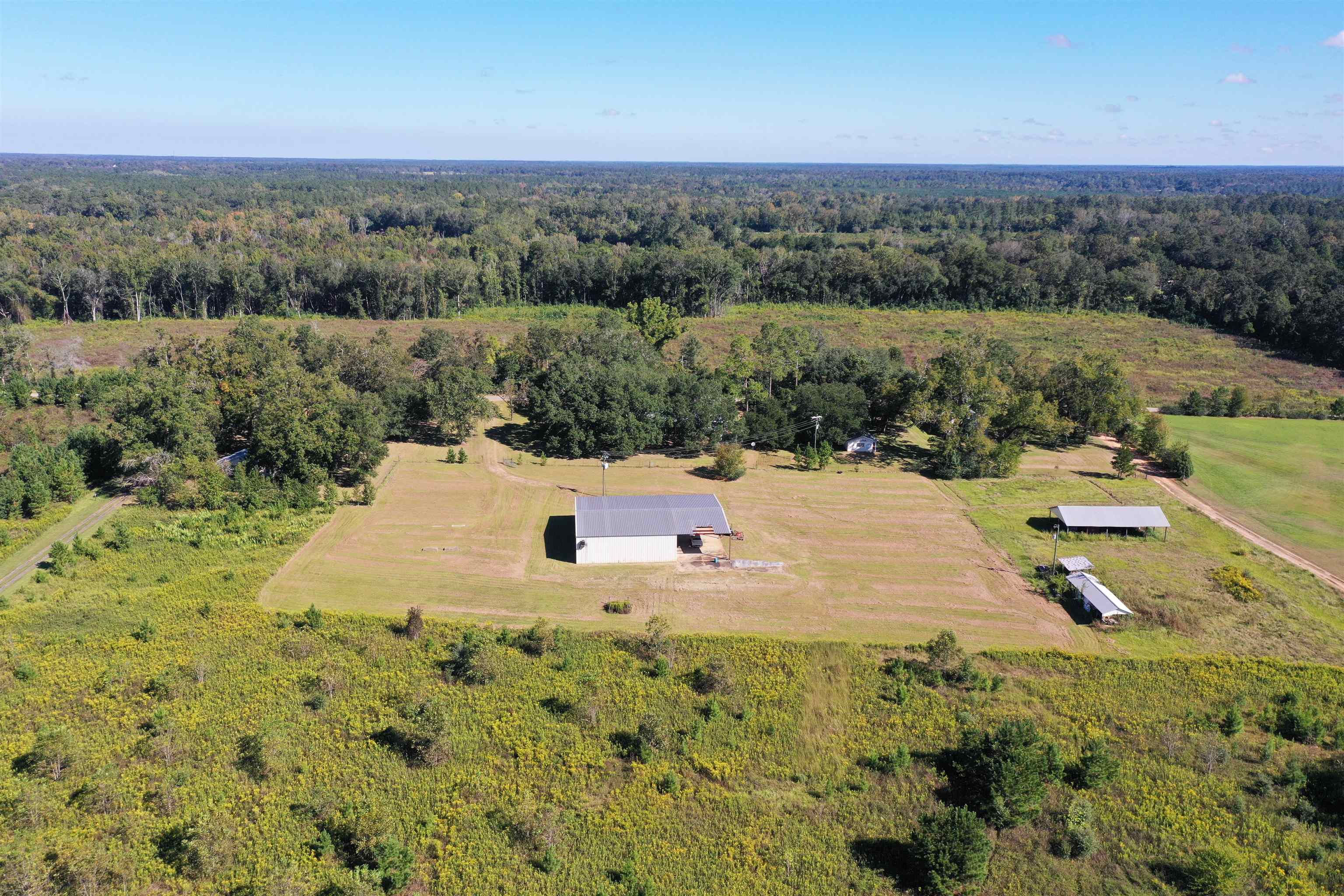 258 Harbin Road Quincy, FL 32351 - Photo 10 of 67 Gallery Image 10