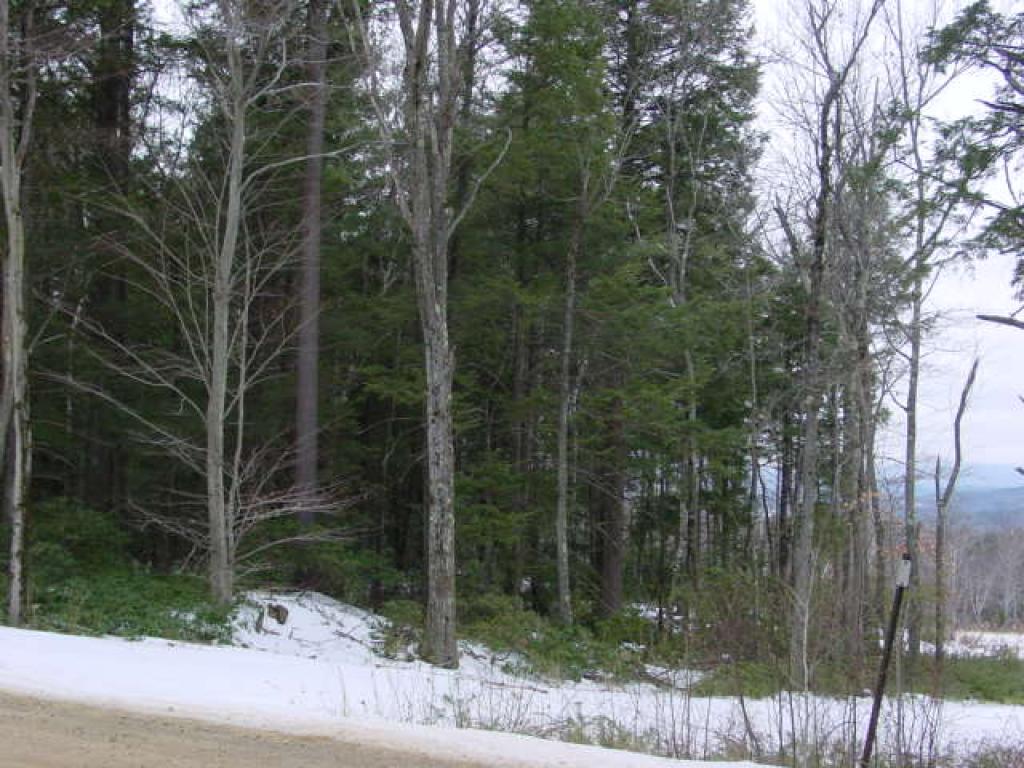 0 Nutting Hill Road Mason, NH 03048 - Photo 3 of 10