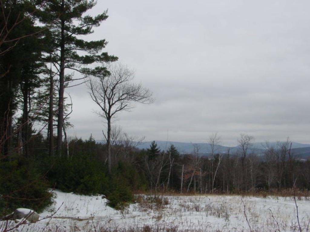 0 Nutting Hill Road Mason, NH 03048 - Photo 6 of 10