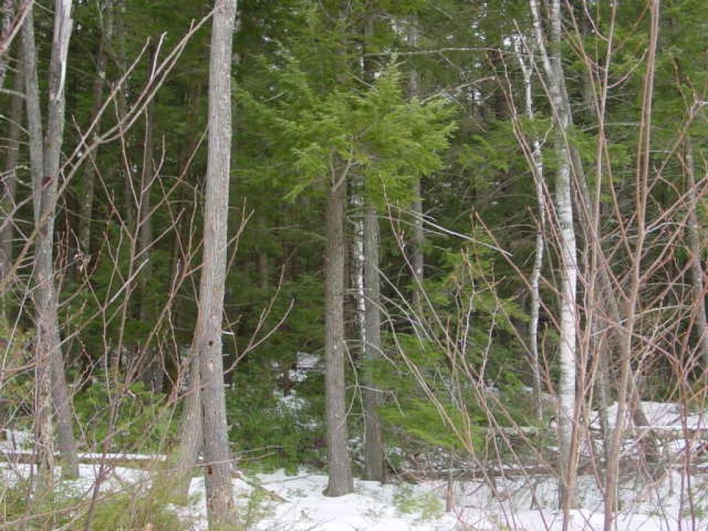 0 Nutting Hill Road Mason, NH 03048 - Photo 7 of 10