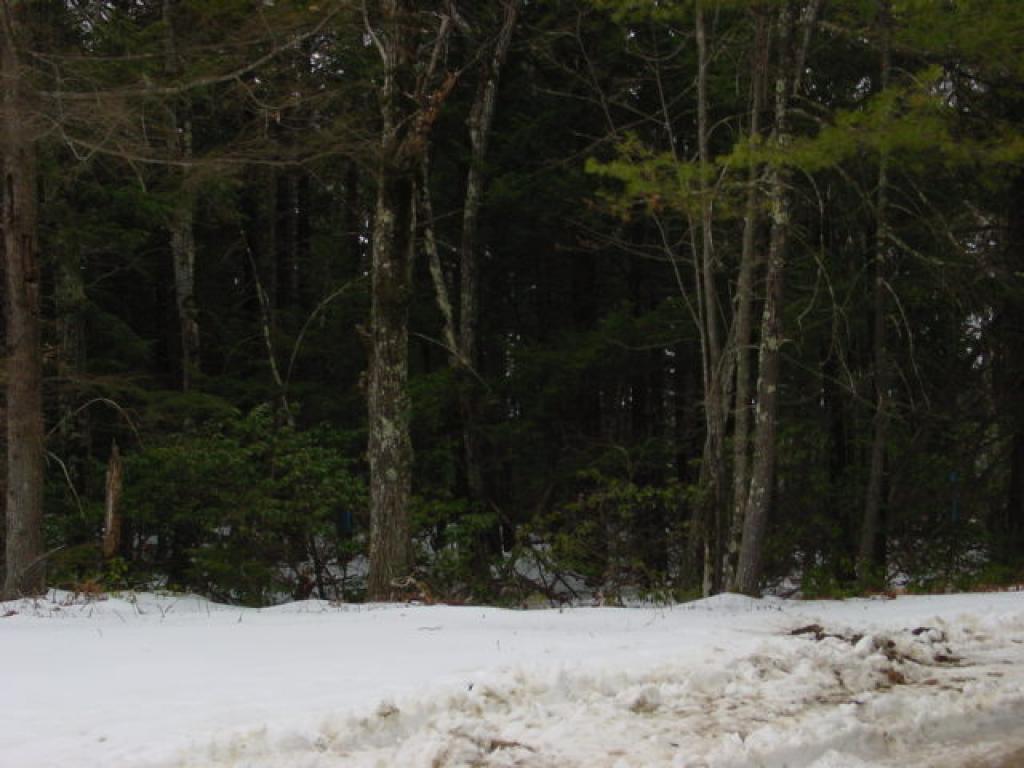 0 Nutting Hill Road Mason, NH 03048 - Photo 10 of 10