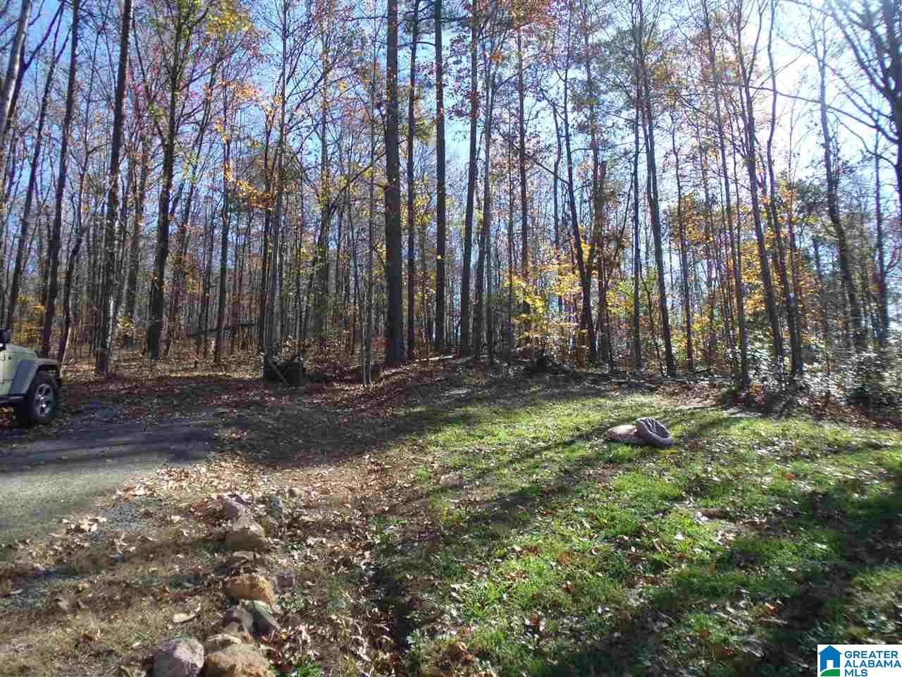 156 Pine Street Oneonta, AL 35121 - Photo 30 of 43