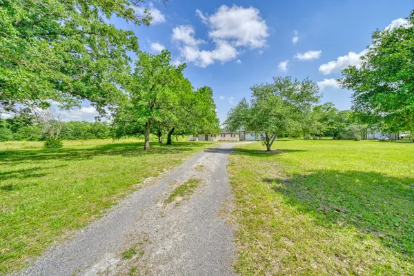 a view of a park with large trees