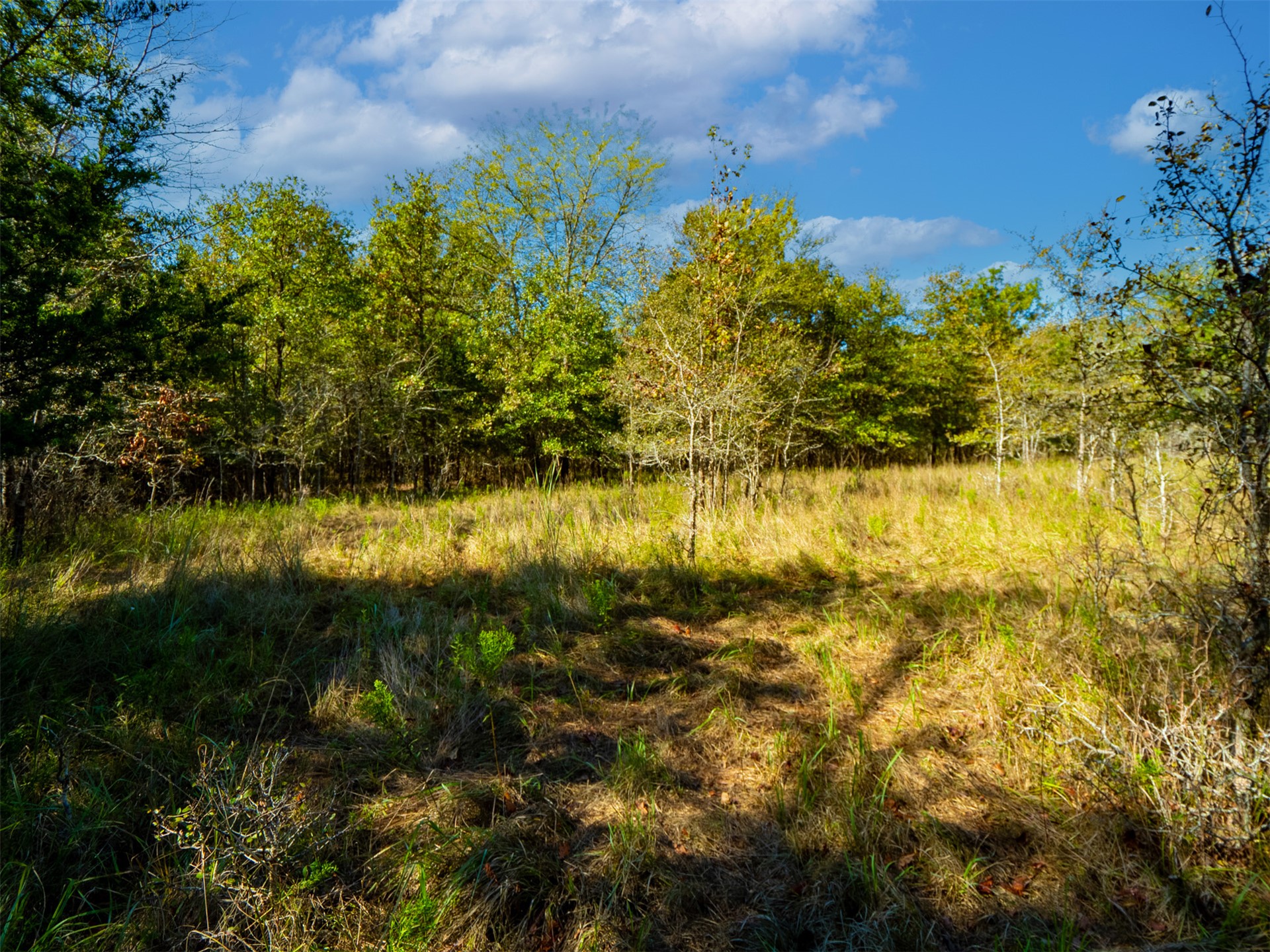 1599 North 4010 Road Boswell, OK 74727 - Photo 14 of 57 Expansive open field with natural grass and mature trees