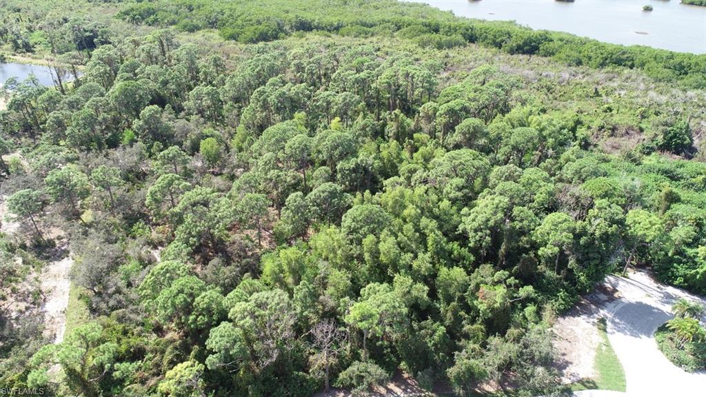 258 Audubon Boulevard Naples, FL 34110 - Photo 11 of 30 an aerial view of a house with a yard