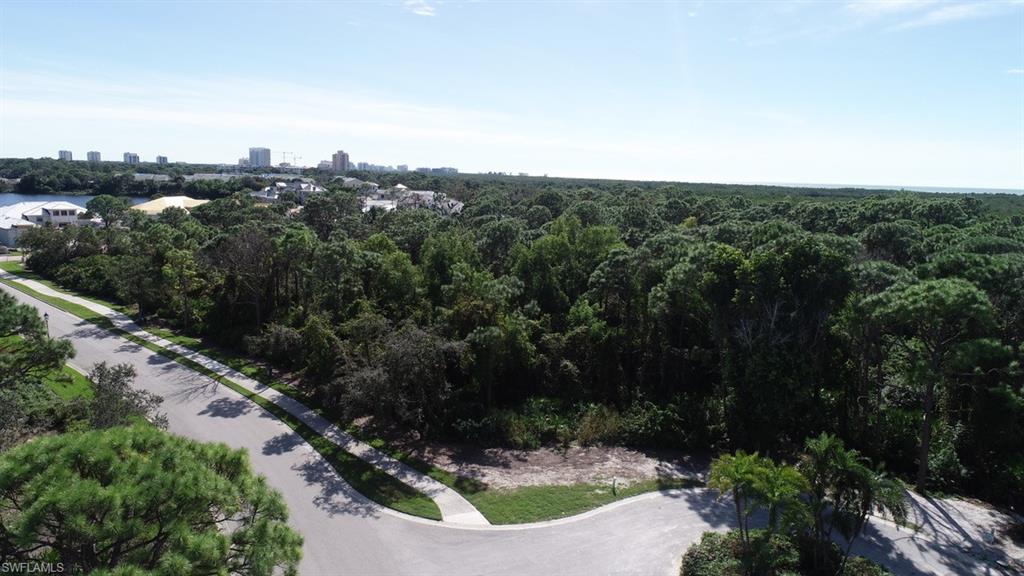 258 Audubon Boulevard Naples, FL 34110 - Photo 13 of 30 a view of a city