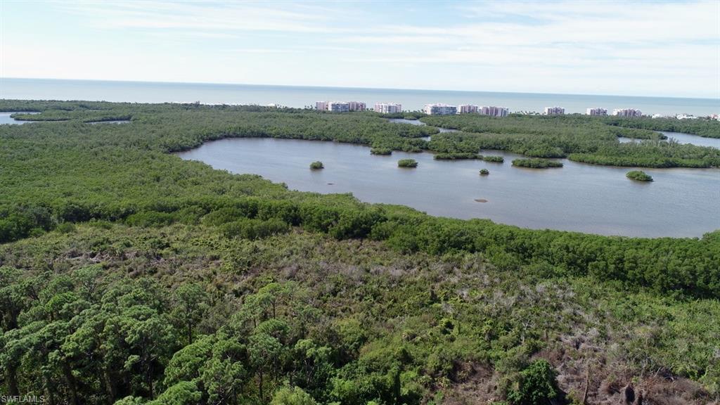 258 Audubon Boulevard Naples, FL 34110 - Photo 14 of 30 a view of lake with mountain