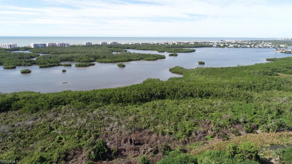 258 Audubon Boulevard Naples, FL 34110 - Photo 15 of 30 a view of a lake with houses in the back