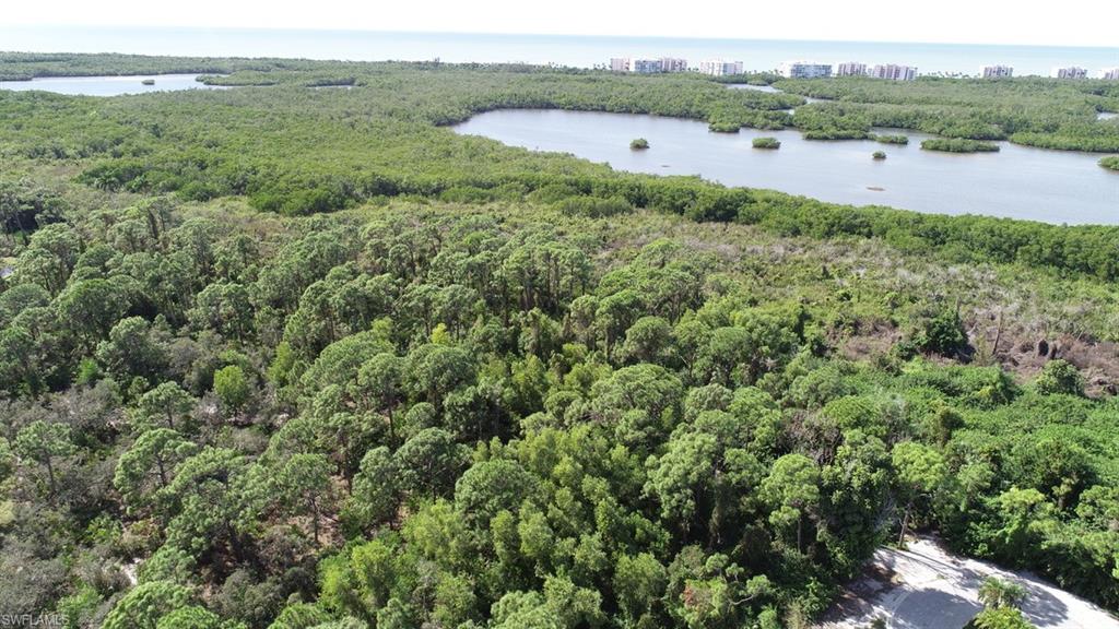 258 Audubon Boulevard Naples, FL 34110 - Photo 3 of 30 a view of outdoor space and mountain view