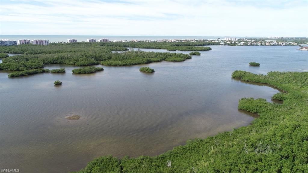 258 Audubon Boulevard Naples, FL 34110 - Photo 4 of 30 an aerial view of lake and city