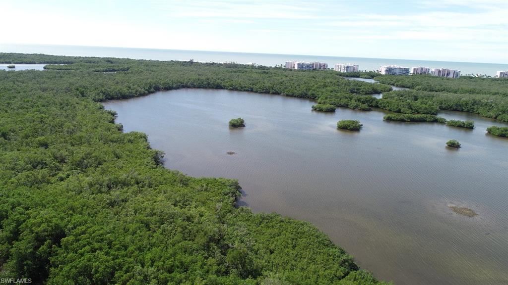 258 Audubon Boulevard Naples, FL 34110 - Photo 5 of 30 an aerial view of green landscape with trees houses and lake view
