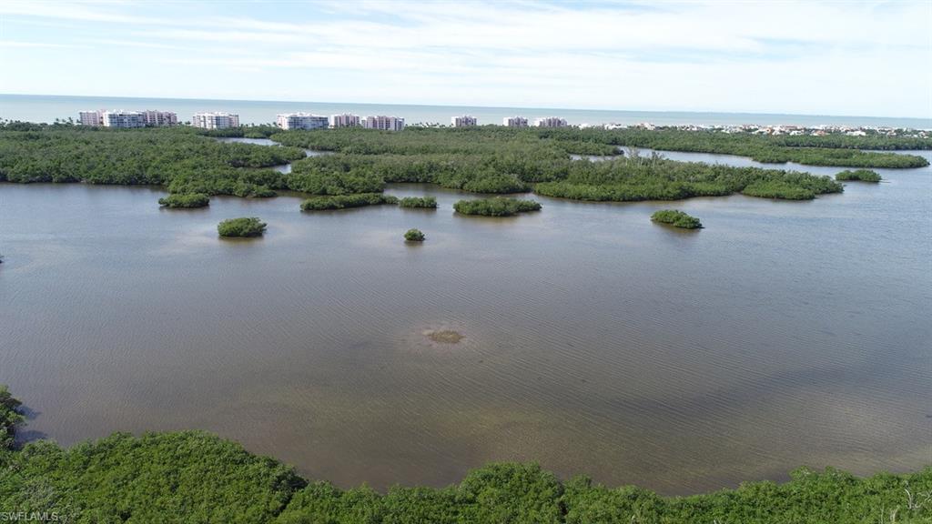 258 Audubon Boulevard Naples, FL 34110 - Photo 6 of 30 an aerial view of lake and residential houses with outdoor space and lake view