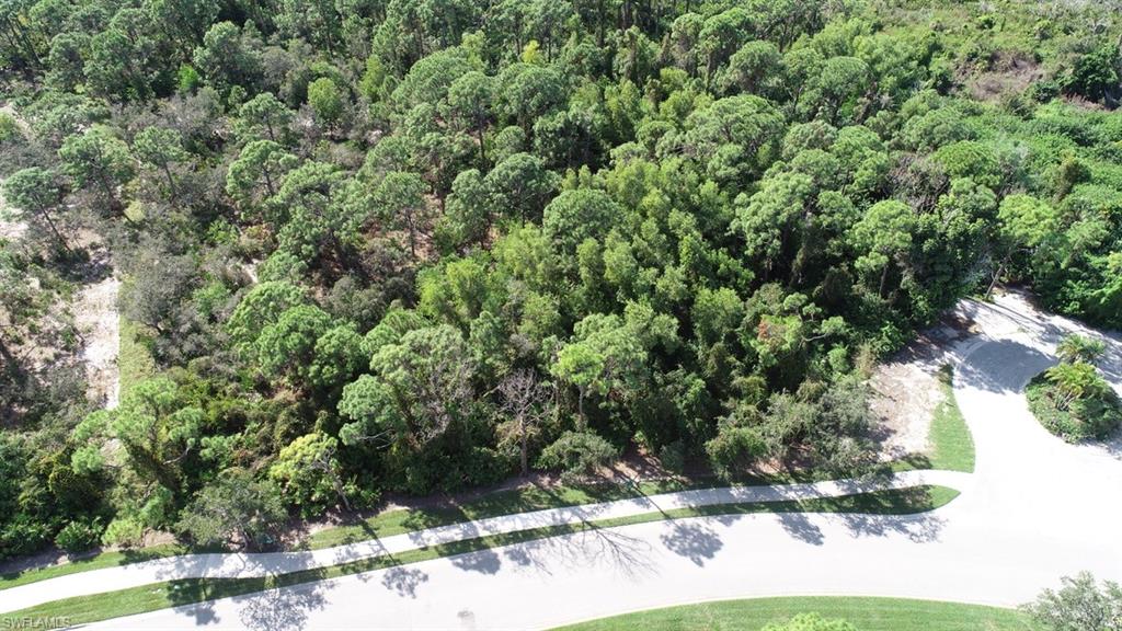 258 Audubon Boulevard Naples, FL 34110 - Photo 8 of 30 a view of a yard
