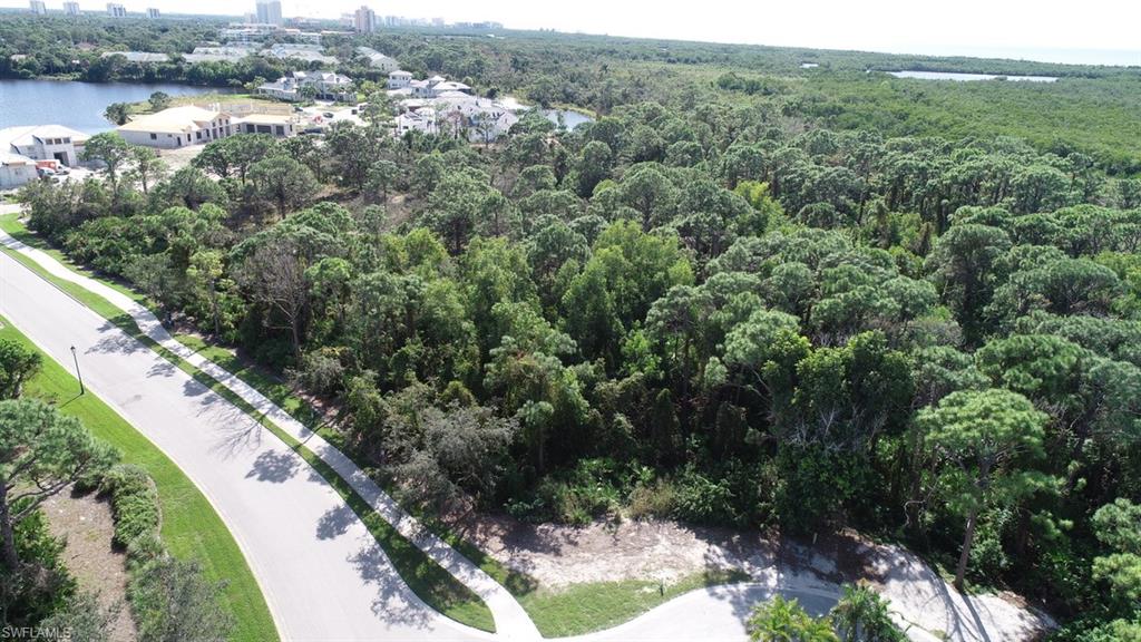 258 Audubon Boulevard Naples, FL 34110 - Photo 10 of 30 an aerial view of residential houses with outdoor space and trees