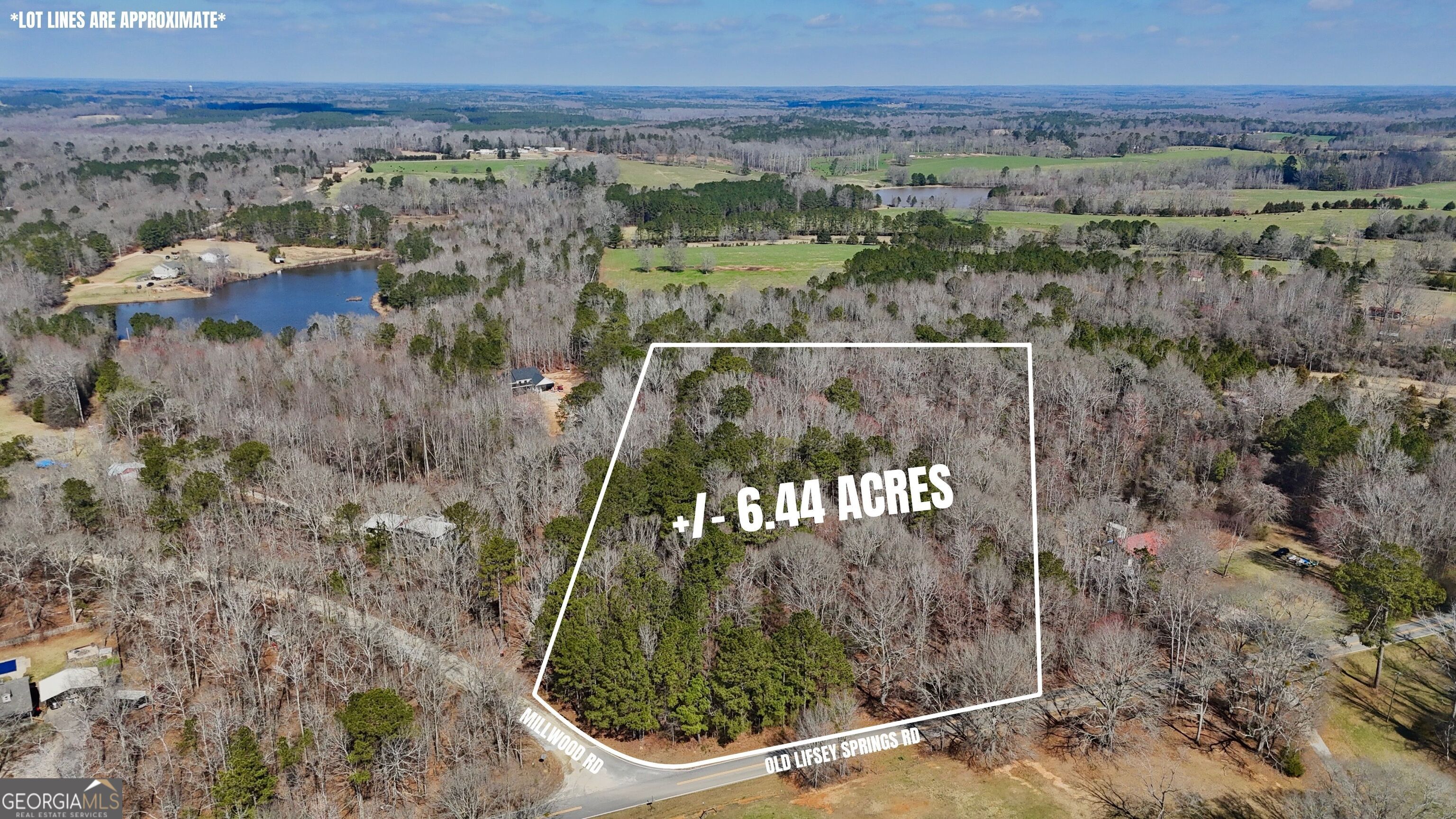 0 Old Lifsey Springs Road Molena, GA 30258 - Photo 5 of 11 a view of a city